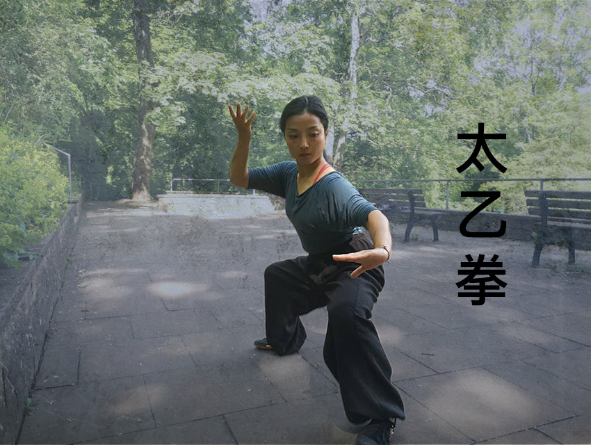 5 Dragon Online Tai Yi Zhang Course