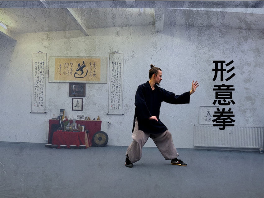 5 Dragon Online Xing Yi Quan Course