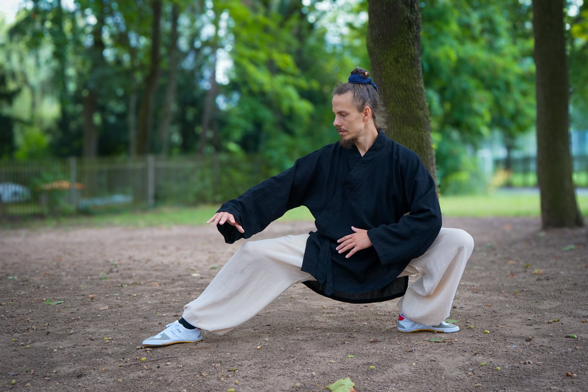 Taiji Quan